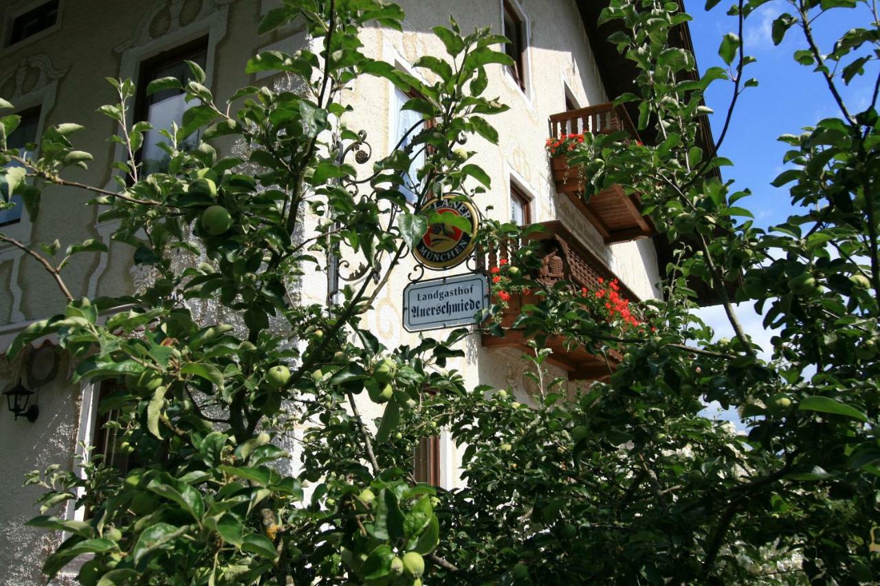 אירשנברג Landgasthof Auerschmiede מראה חיצוני תמונה
